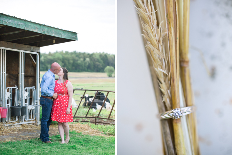 A Pennsylvania Dairy Farm Engagement Session | © Expressions by Jamie | www.expressionsbyjamie.com
