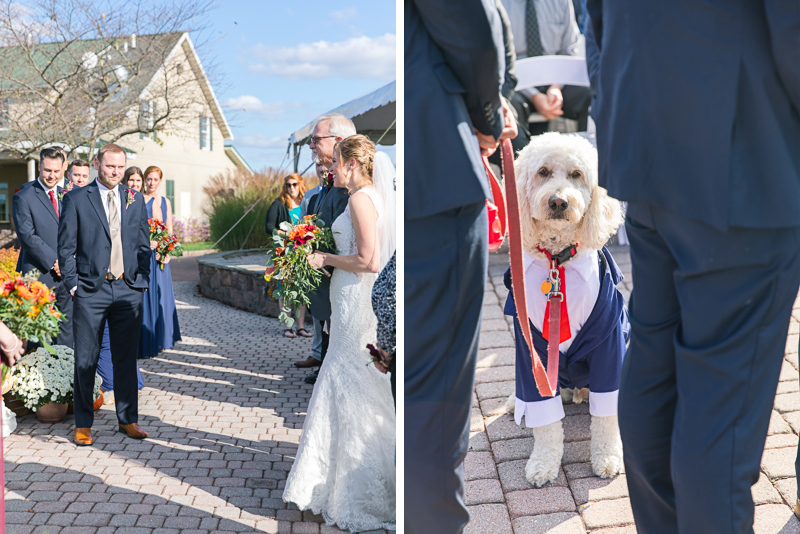 This outdoor fall Links at Gettysburg wedding included a ribbon dancer, a dog in a full suit and a lot of laughter. See more from this fall colored wedding from Gettysburg wedding photography Jamie Fisher Collective | www.jamiefishercollective.com